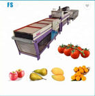 Modern Apple Waxing Sorting Grading Fruit And Vegetable Washer Machine For Kiwi