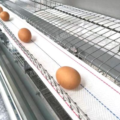 Пояс собрания яйца продажи Annilte горячий в птицеферме