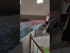 Чистка плода и машина выбора