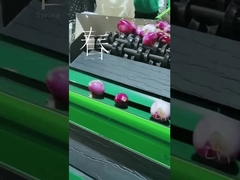 Чистка плода и машина выбора