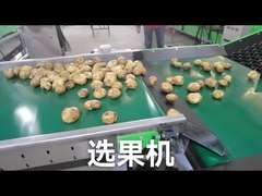 Подгоняйте грейдер овоща плода