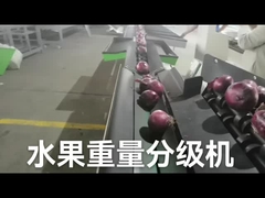 Автоматическая электронная сортировщица плода и весить машину